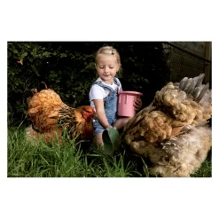 Rolf More - Zandemmer Eco Lichtroze -Hudora Winkel 1199030d