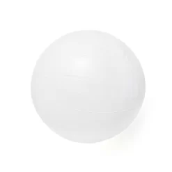 Bestway Opblaasbaar Waterpolo Frame Met Bal 16 Bestway Opblaasbaar Waterpolo Frame Met Bal -Hudora Winkel 1980580g1