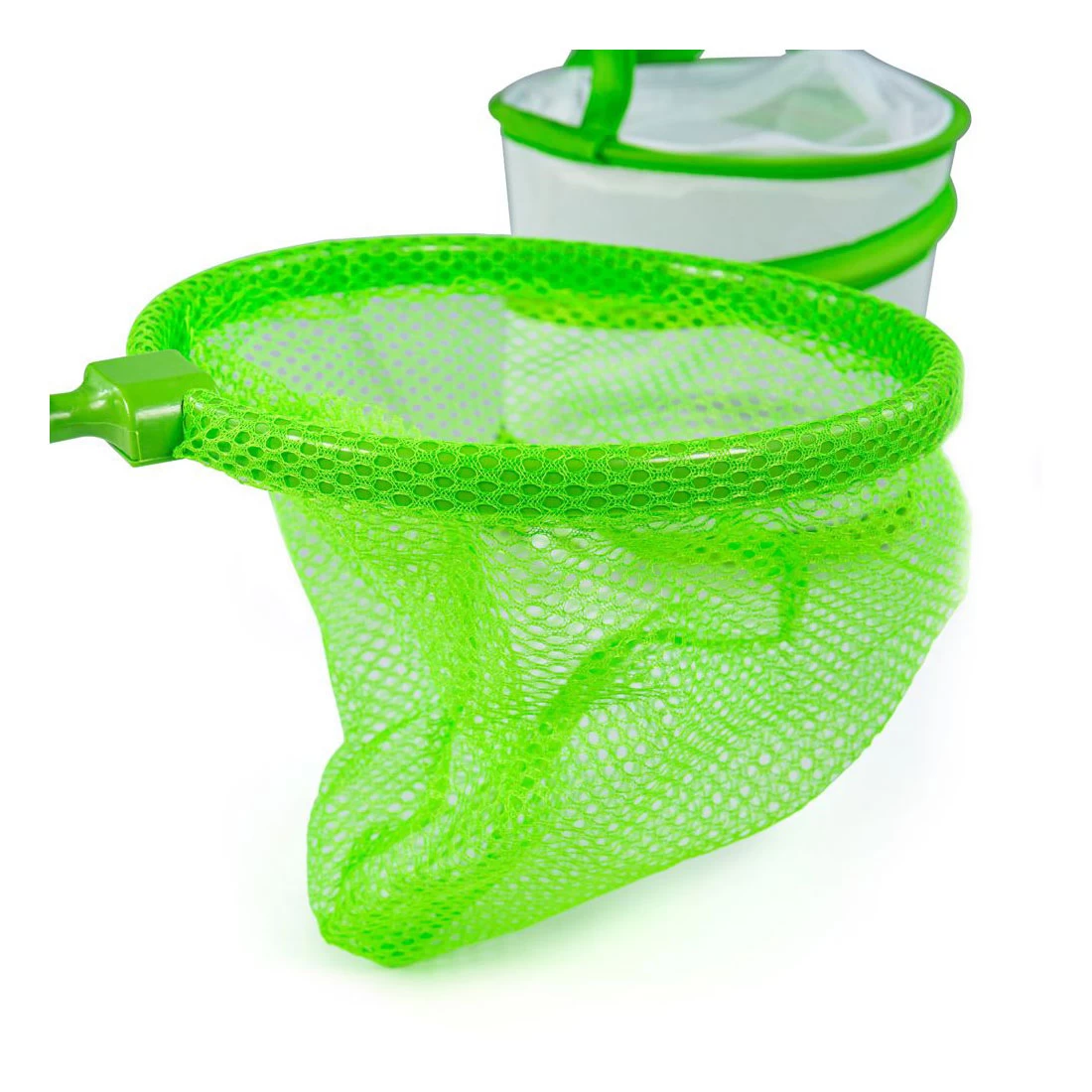 Bigjigs Insecten Ontdekset, 8dlg. 2 Bigjigs Insecten Ontdekset, 8dlg. - Afbeelding 2