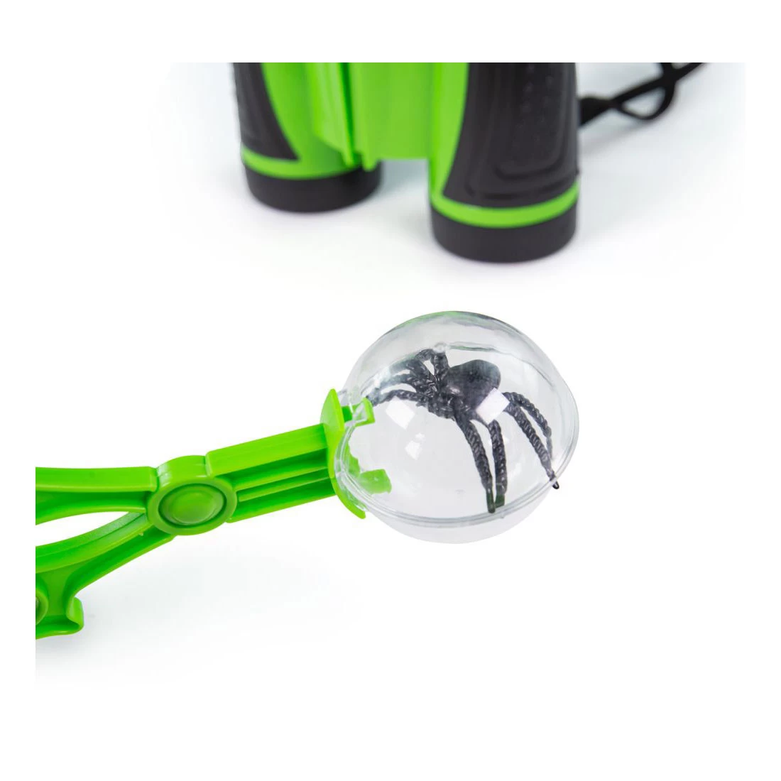 Bigjigs Insecten Ontdekset, 8dlg. 7 Bigjigs Insecten Ontdekset, 8dlg. - Afbeelding 7