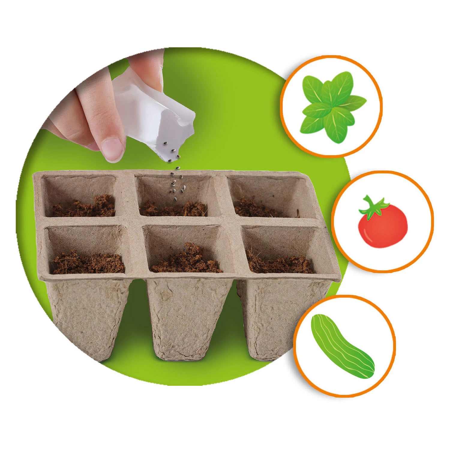 SES Broeikas Met Groenten 4 SES Broeikas Met Groenten - Afbeelding 4