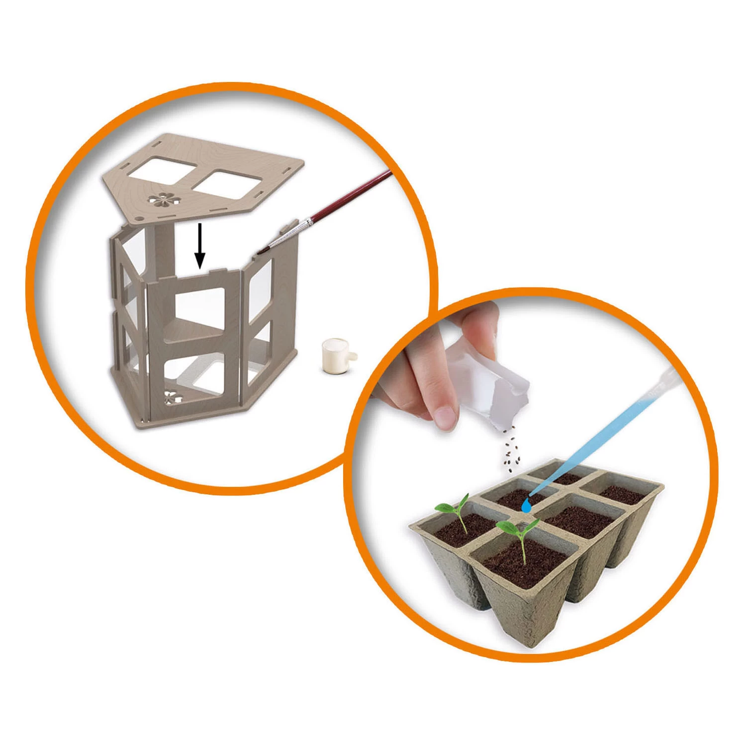 SES Broeikas Met Groenten 5 SES Broeikas Met Groenten - Afbeelding 5