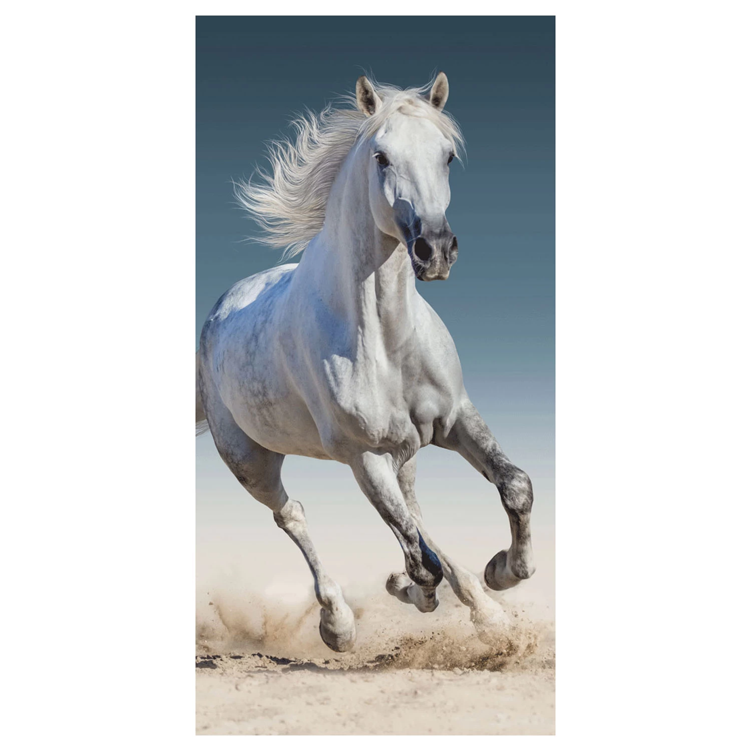 Strandlaken Paard, 70x140cm 1 Strandlaken Paard, 70x140cm